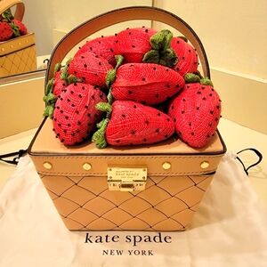 Kate Spade 3D Picnic Perfect Strawberry Basket Clutch Bag (VERY RARE)